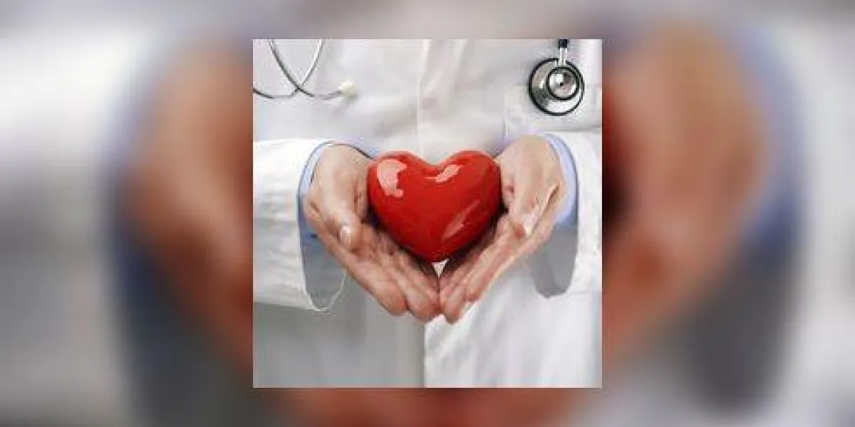 docteur, ou, cardiologue, tenue, coeur, à, soin, dans, mains, concept, pour, soins de santé, et, diagnostic, médical, pouls, test cardiaque docteur, ou, cardiologue, tenue, coeur, à, soin, dans, mains, concept, pour, soins de santé, et, diagnostic, médical, pouls, test cardiaque