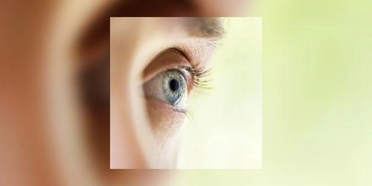 macro oeil humain