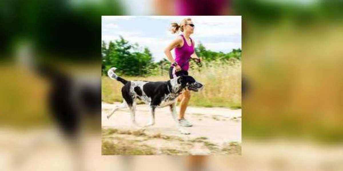 coureur de femme en cours d'exécution, promener le chien dans la nature de l'été coureur de femme en cours d'exécution, promener le chien dans la nature de l'été