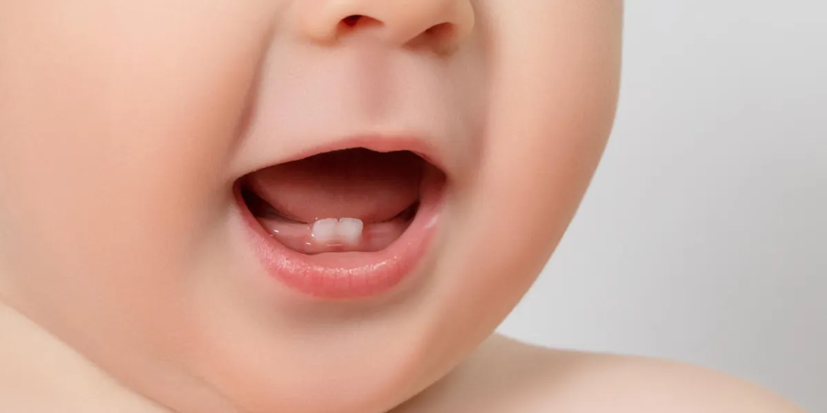 close-up baby mouth with two rises teeth close-up baby mouth with two rises teeth