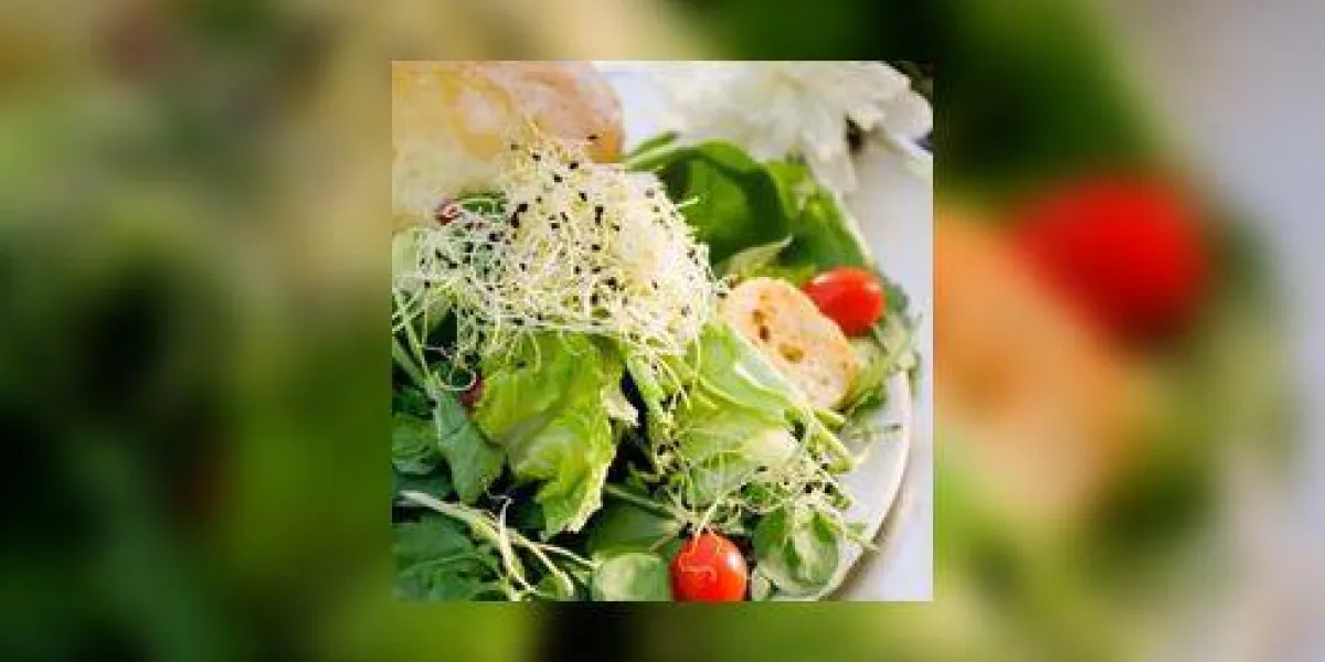 salade fraiche