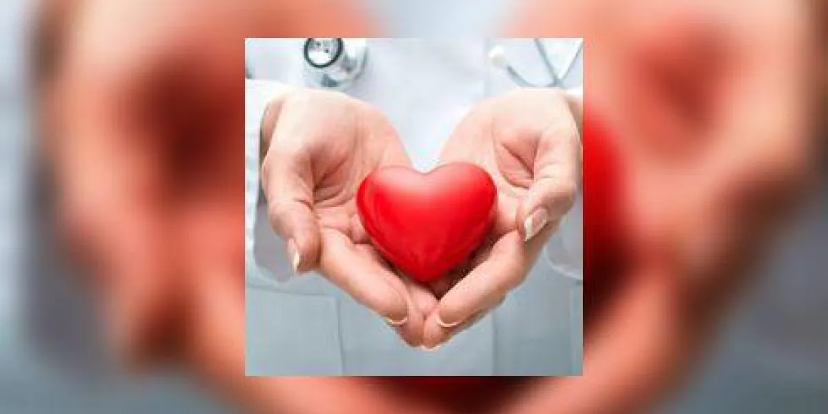médecin tenant coeur