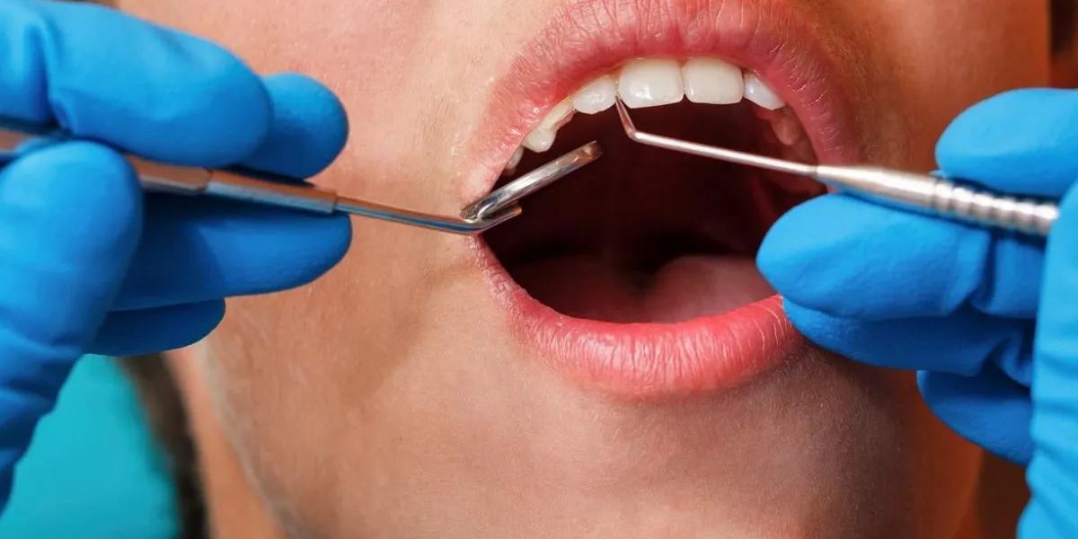 child on inspection the dentist in the dental clinic child on inspection the dentist in the dental clinic