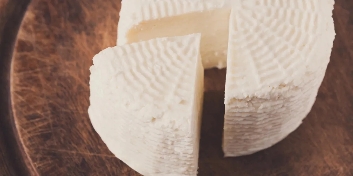 cheese wheel, fresh homemade indian paneer on wooden board, close-up cheese wheel, fresh homemade indian paneer on wooden board, close-up