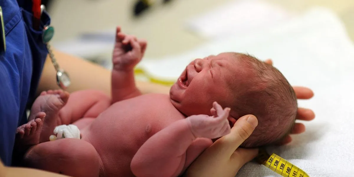 baby direkt nach der geburt baby direkt nach der geburt