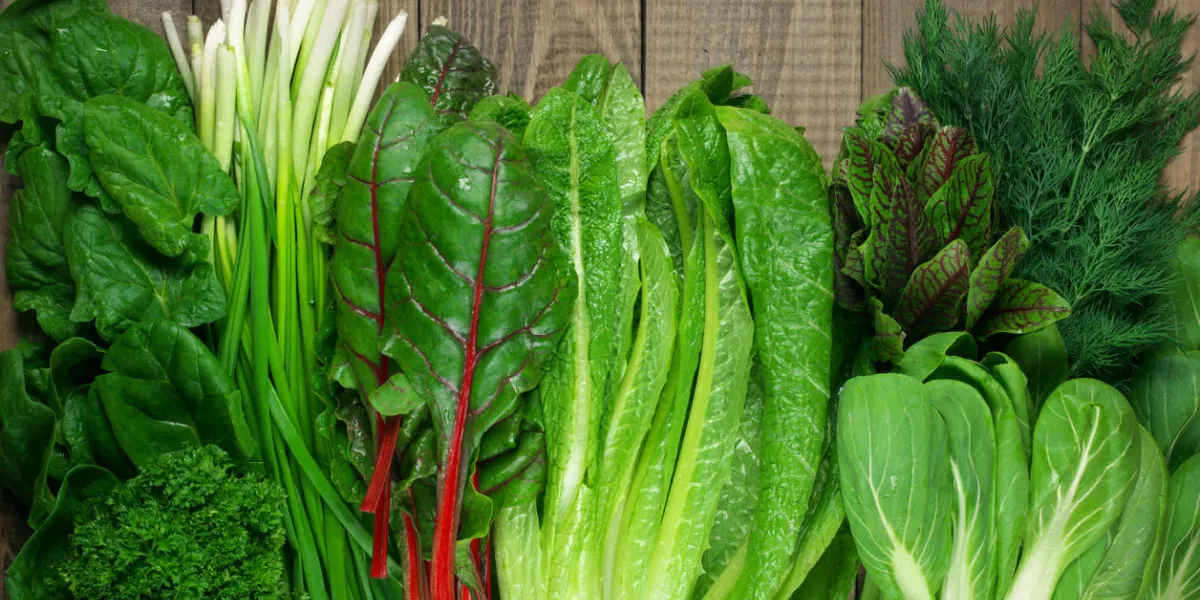 jeu de vitamine de printemps de divers légumes à feuilles vertes sur le point de vue de dessus de table en bois rustique jeu de vitamine de printemps de divers légumes à feuilles vertes sur le point de vue de dessus de table en bois rustique