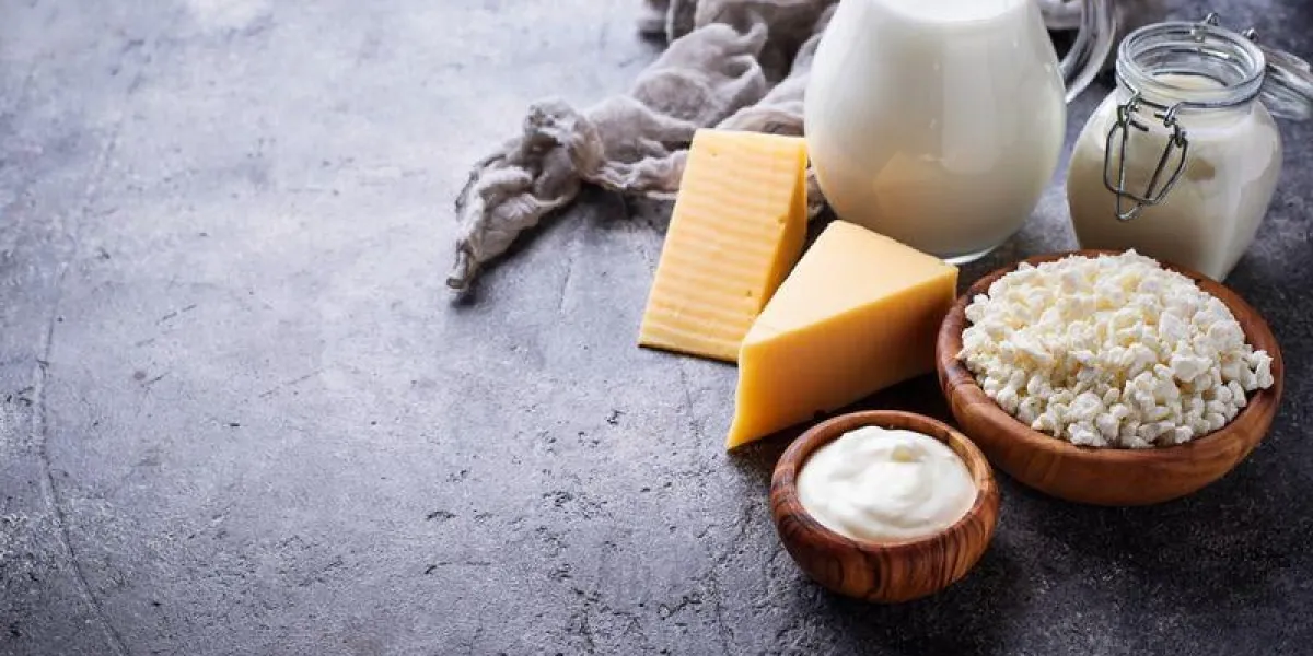 assortment of dairy products milk, yogurt, sour cream, cottage and cheese