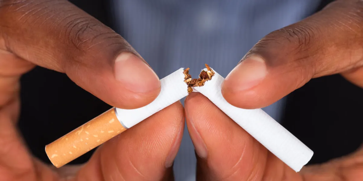 close-up of human hands breaking the cigarette close-up of human hands breaking the cigarette