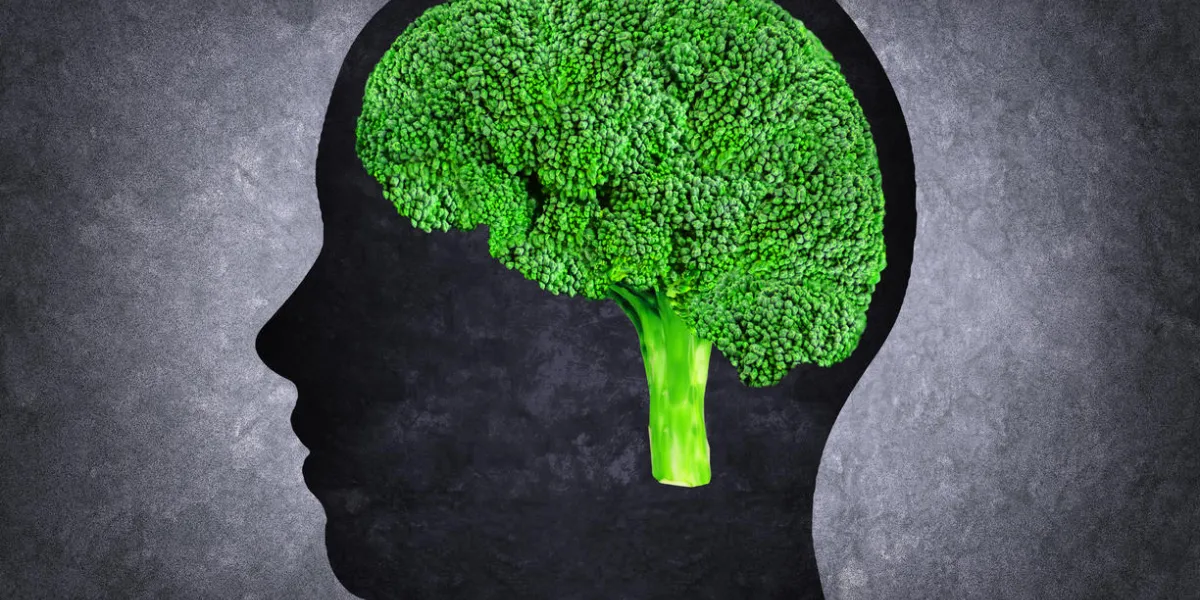 silhouette de la tête humaine avec le cerveau brocoli silhouette de la tête humaine avec le cerveau brocoli