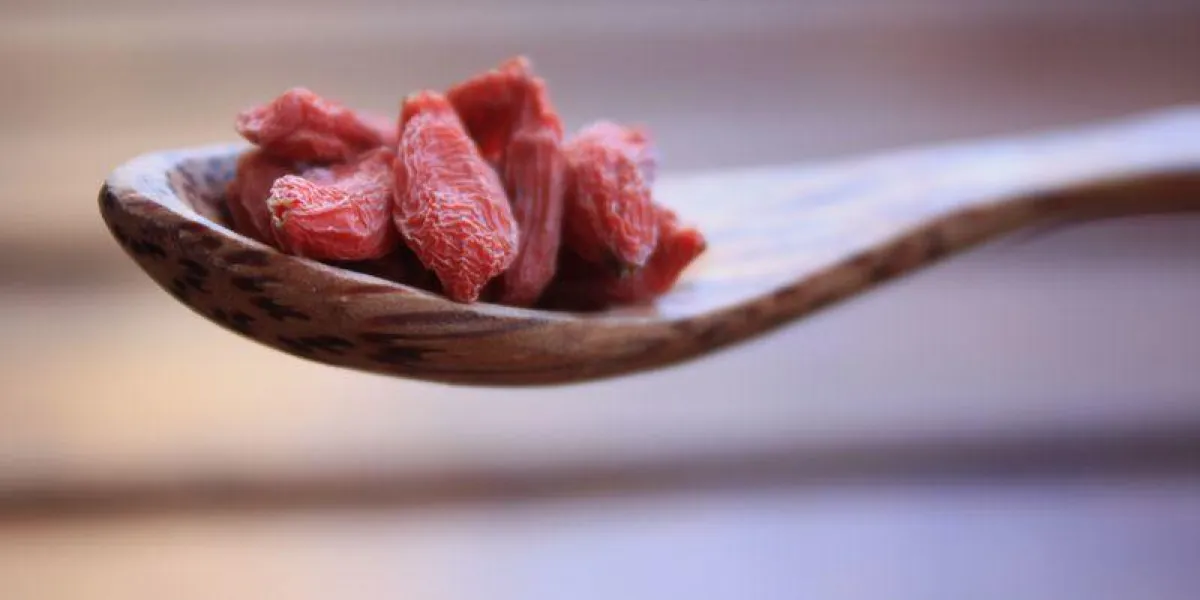 wolfberry goji berry wolfberry goji berry