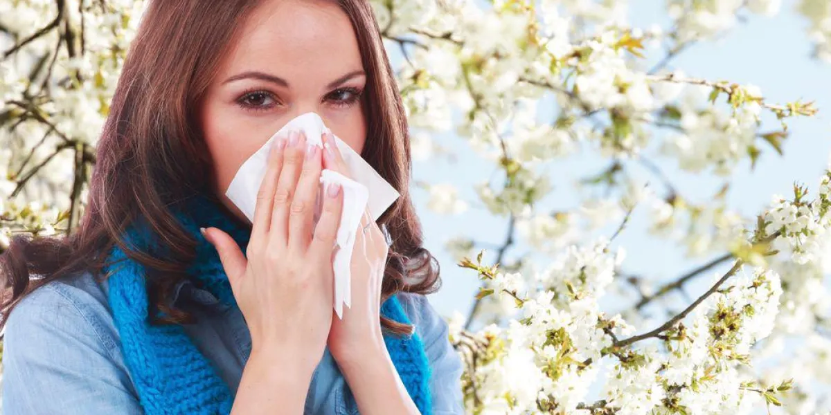 jeune femme avec mouchoir et priser devant une fleur de printemps jeune femme avec mouchoir et priser devant une fleur de printemps