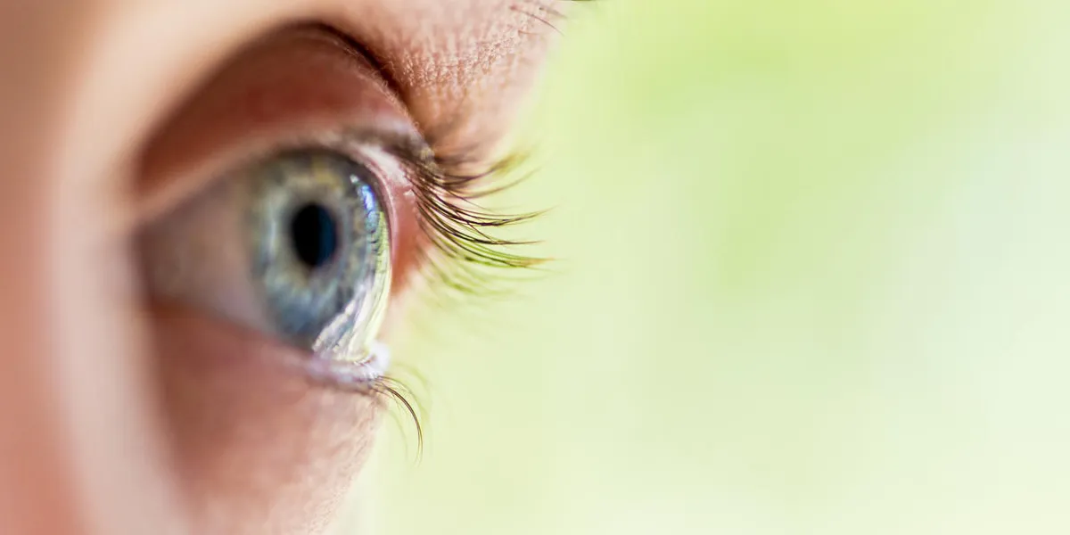 macro human eye