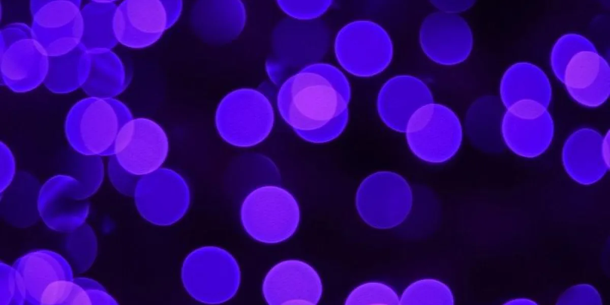 dotted background dotted background