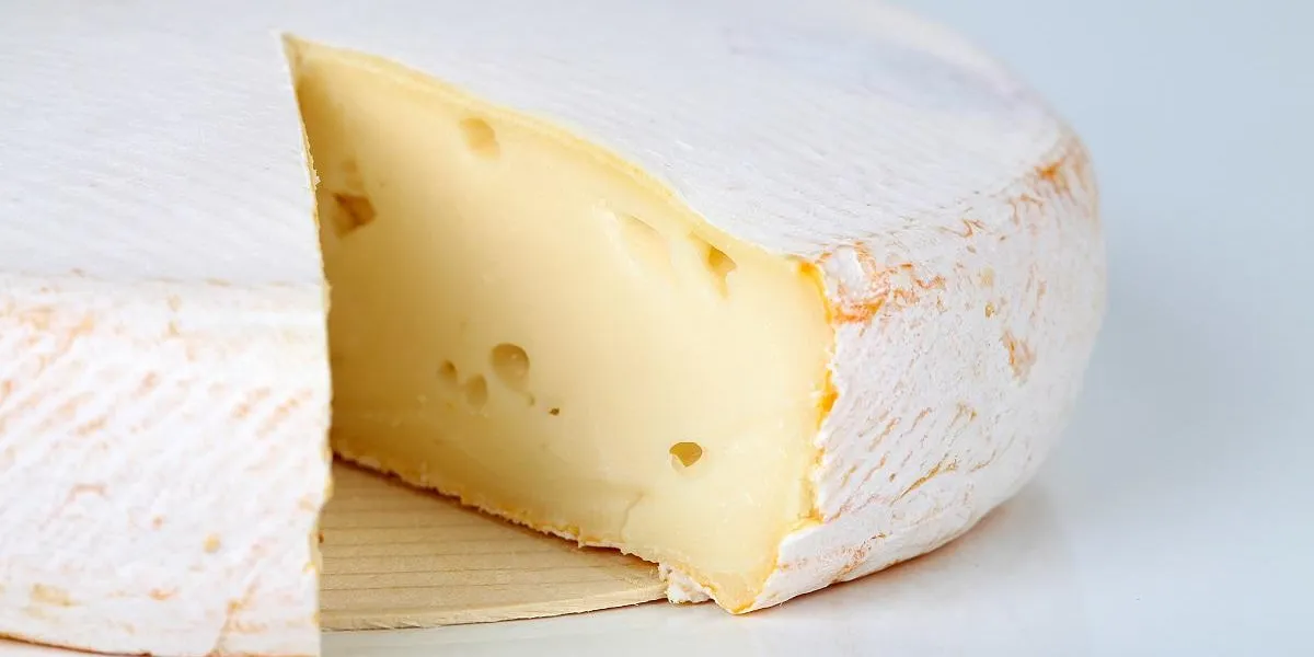 käse am stück käse am stück