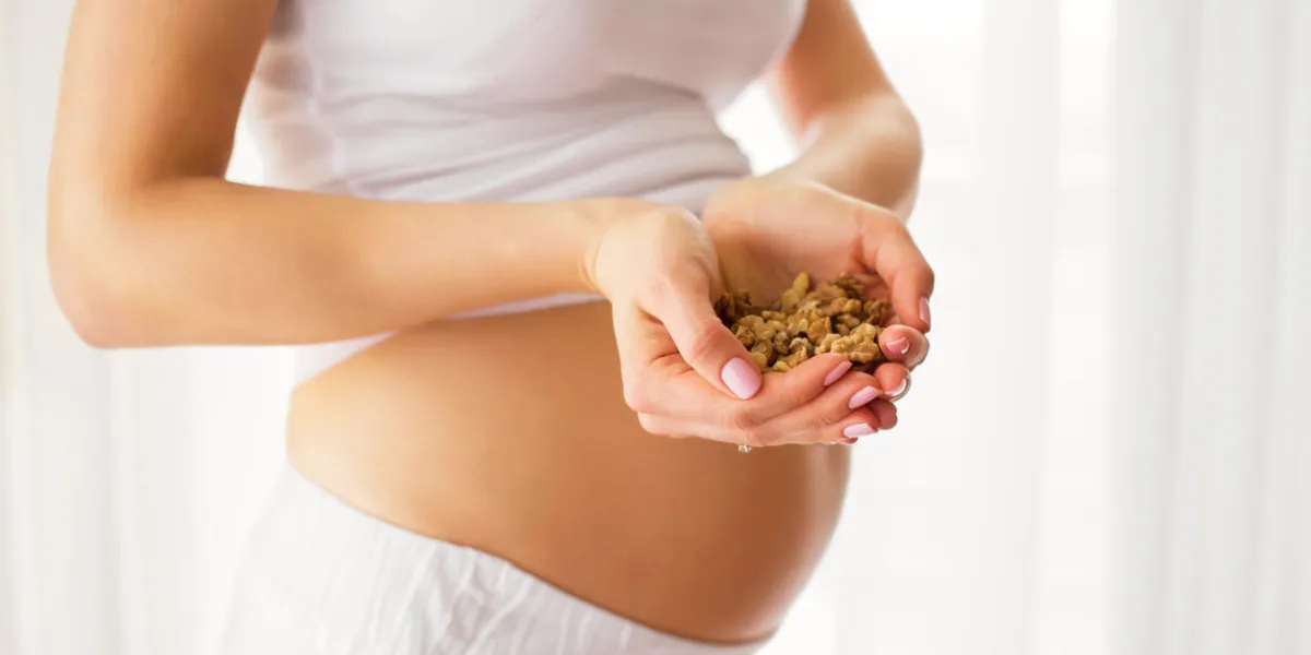 pregnant woman holding nuts pregnant woman holding nuts