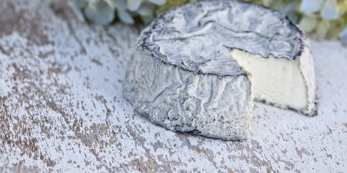 französischer selles sur cher ziegenkäse