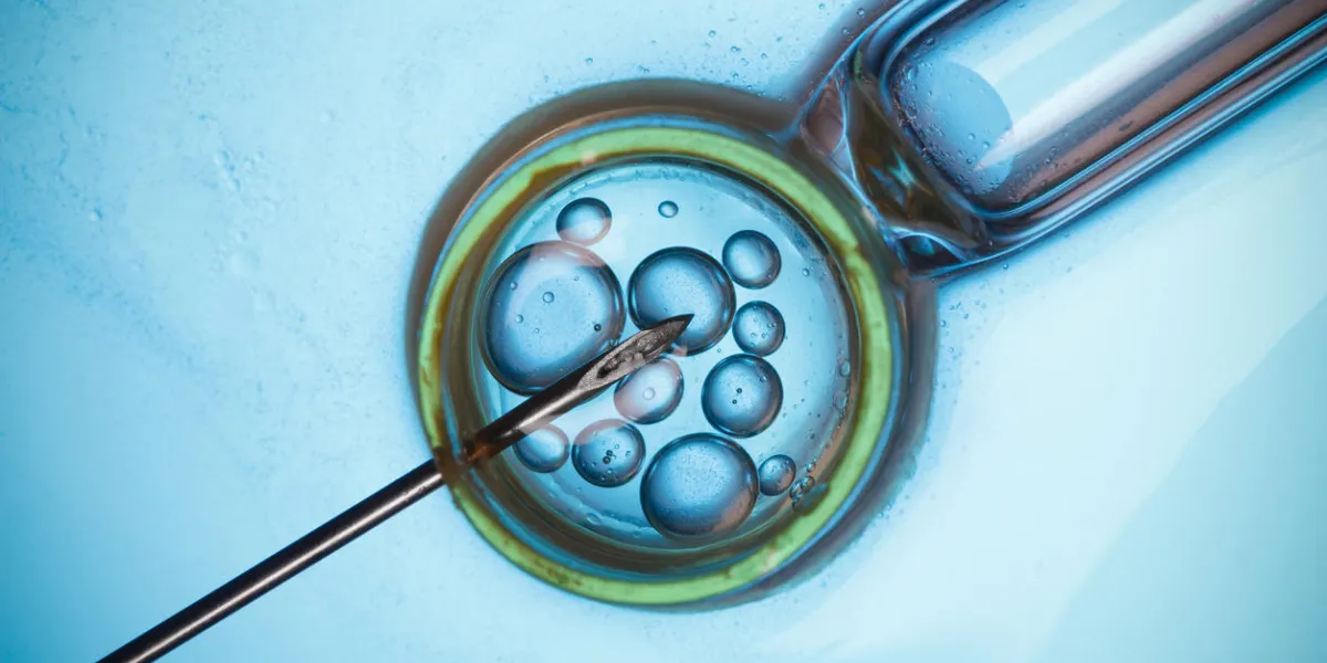 laboratory microscopic research macro concept laboratory microscopic research macro concept