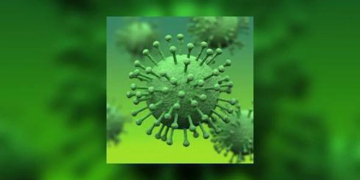 virus virus