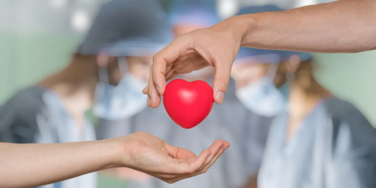heart transplant and organ donation concept hand is giving red heart