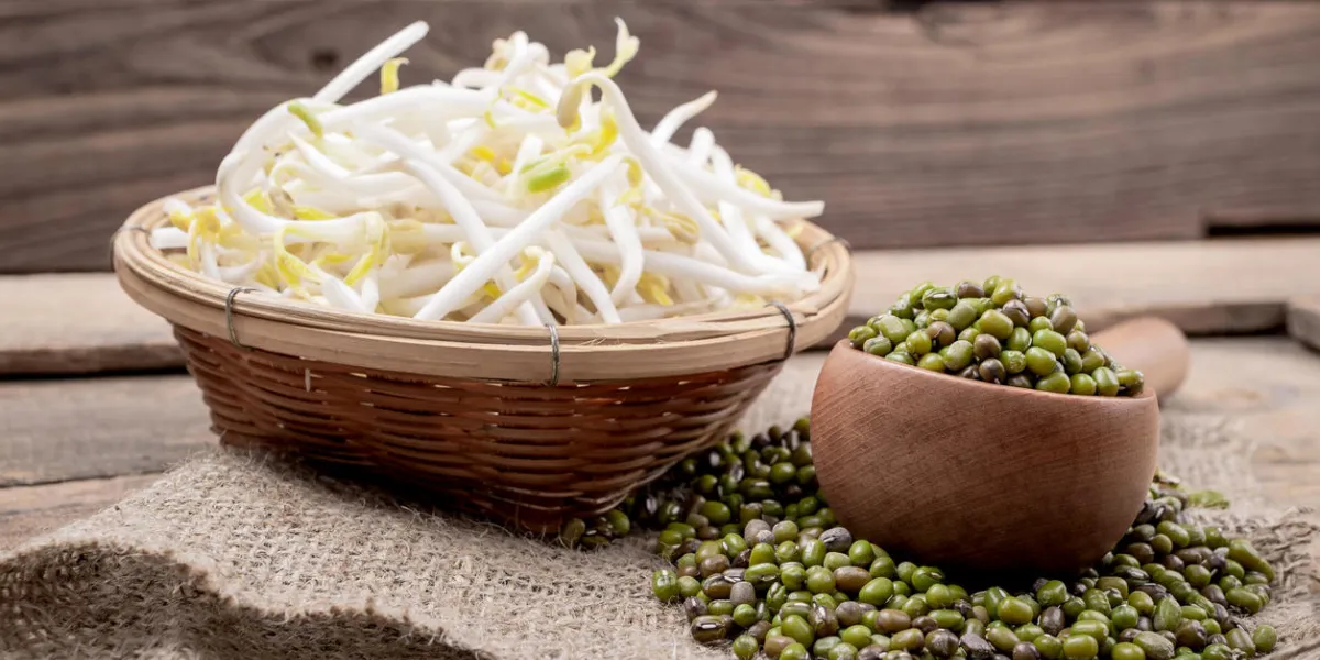 bowl with mungbean sprouts on wooden background