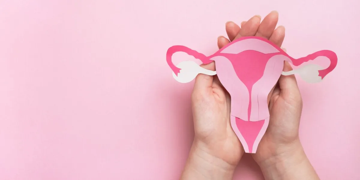 woman hands holding decorative model uterus on pink background top view, copy space woman hands holding decorative model uterus on pink background top view, copy space