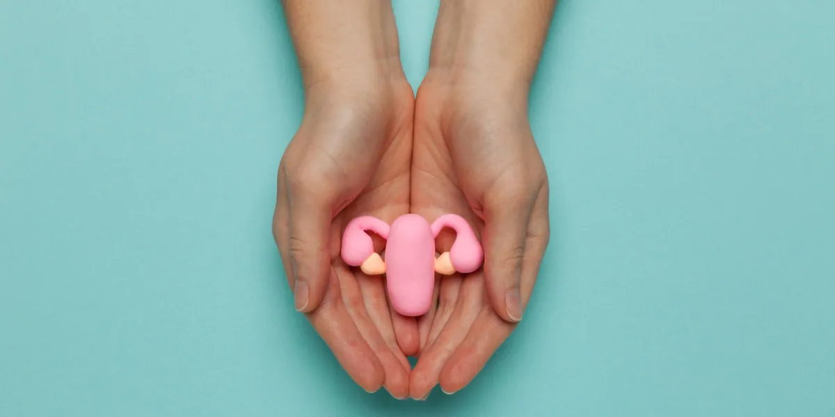 female uterus gynecological examination, infertility treatment reproductive system diseases female uterus gynecological examination, infertility treatment reproductive system diseases