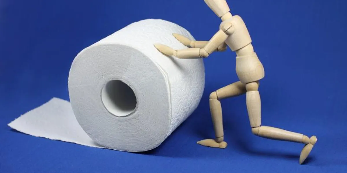 digestion