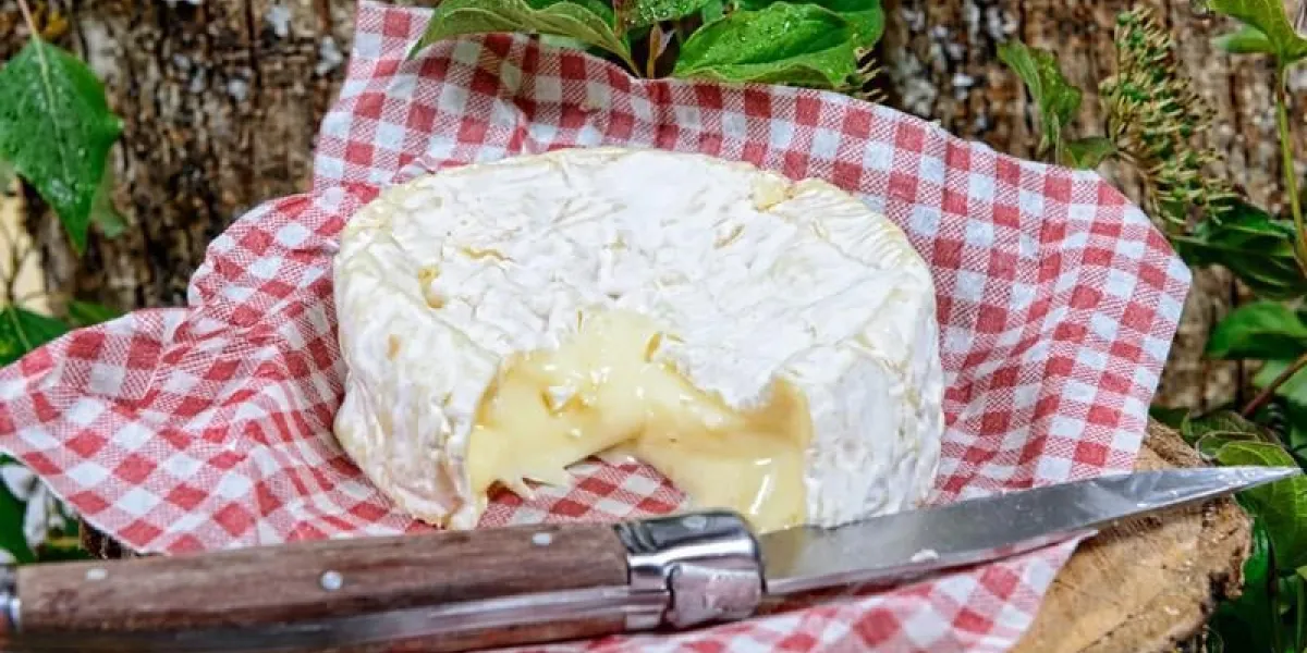 camembert sur un morceau de bois avec un couteau de table