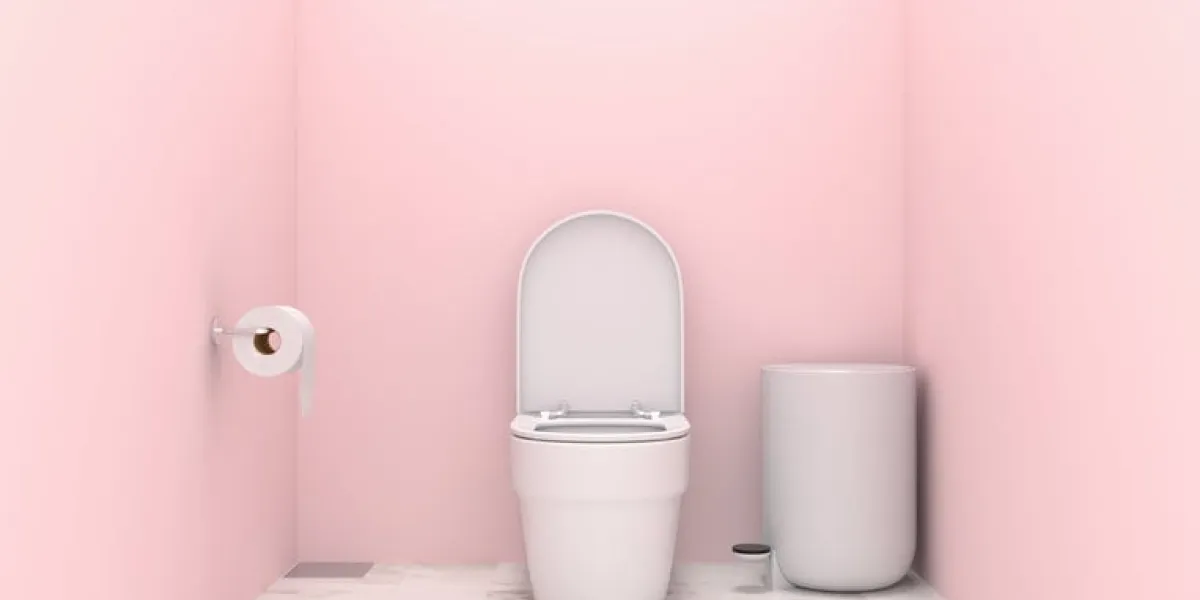 water closet and bin in pink toilet interior, 3d rendering water closet and bin in pink toilet interior, 3d rendering