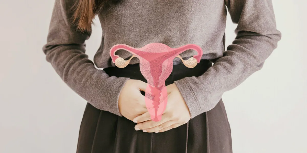 woman hands holding uterus, female reproductive system , woman health, pcos, gynecologic and cervix cancer concept woman hands holding uterus, female reproductive system , woman health, pcos, gynecologic and cervix cancer concept