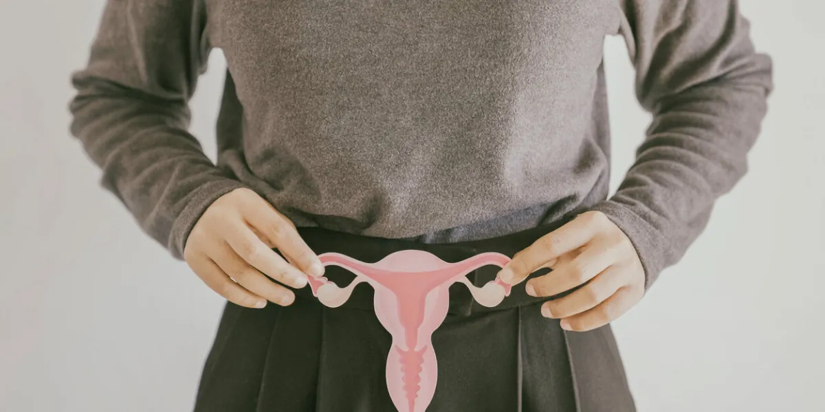 hands holding uterus, female reproductive system , woman health, pcos, gynecologic and cervix cancer concept hands holding uterus, female reproductive system , woman health, pcos, gynecologic and cervix cancer concept