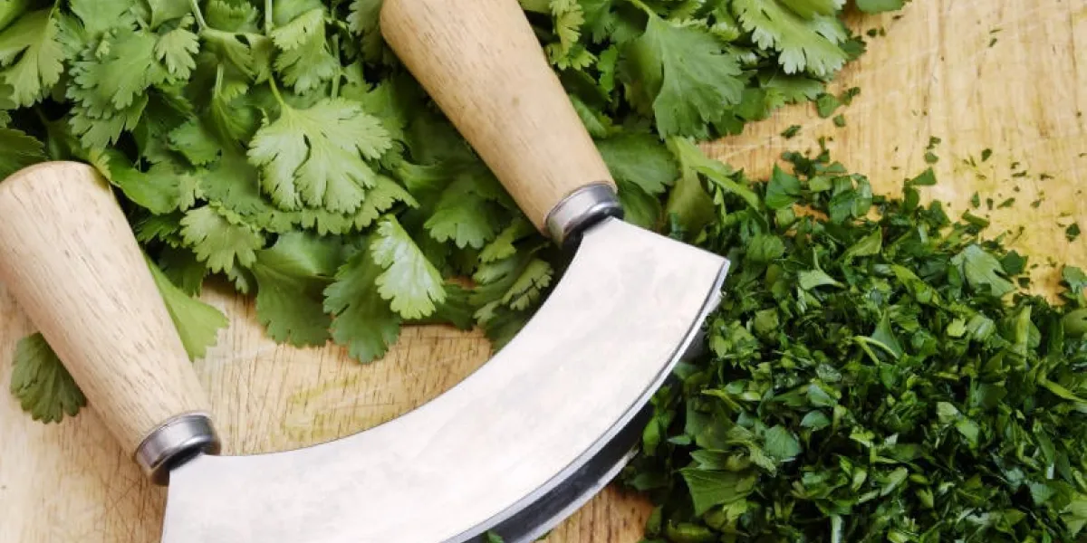 herbes fraîches et hachées sur une planche à découper avec une mezzaluna herbes fraîches et hachées sur une planche à découper avec une mezzaluna