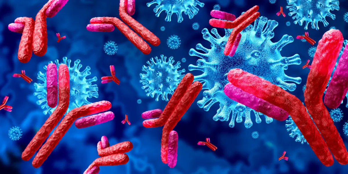 antibody and immunoglobulin concept as antibodies attacking contagious virus cells and pathogens as a 3d illustration antibody and immunoglobulin concept as antibodies attacking contagious virus cells and pathogens as a 3d illustration