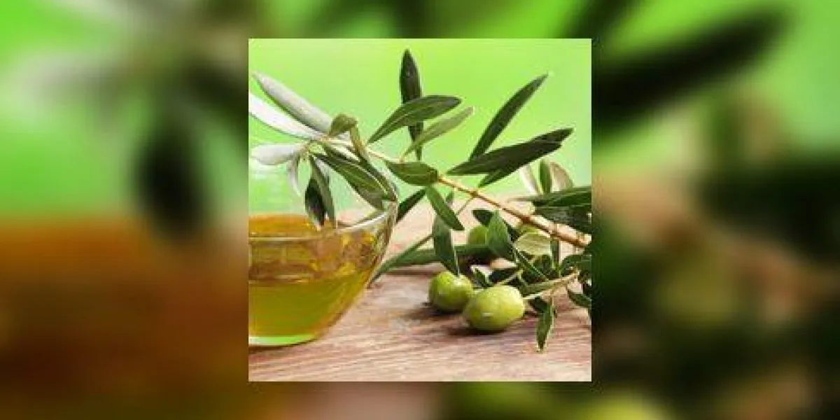 huile d'olive avec branche d'olivier