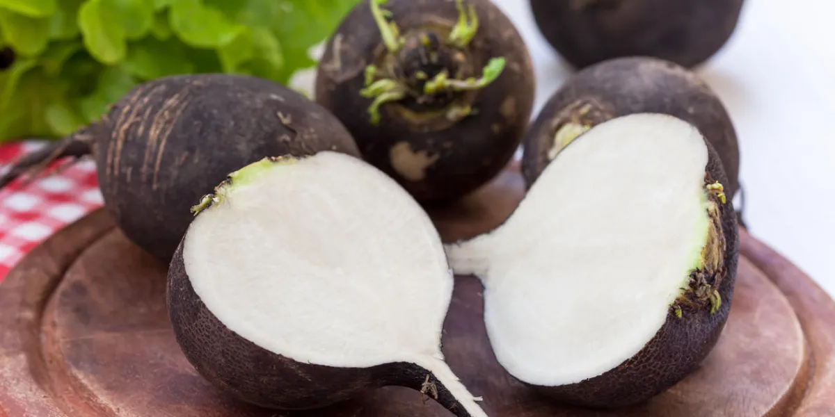 radis noir sur planche de bois, une coupe