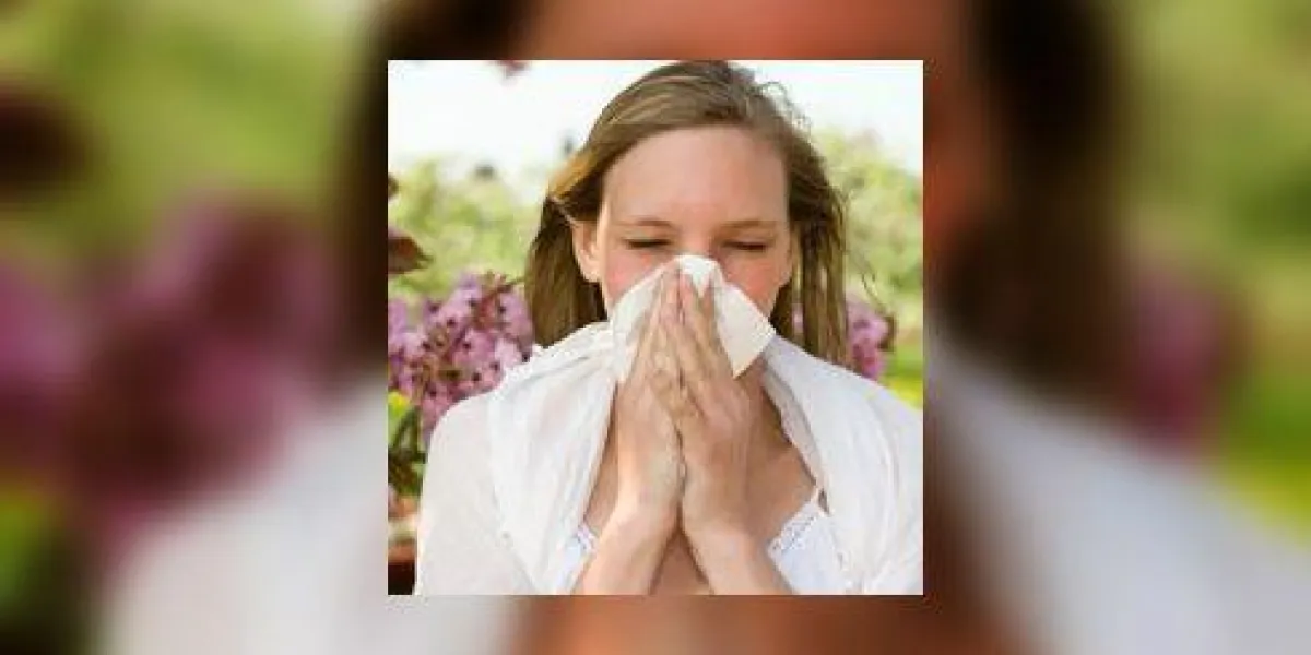 allergie allergie