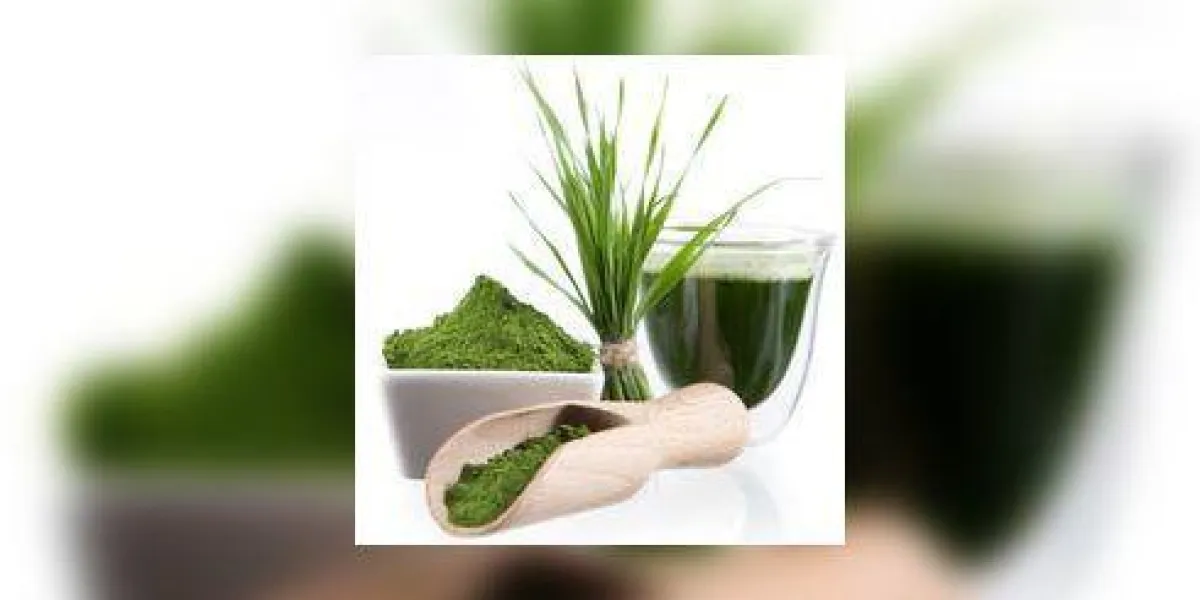 jeune orge et chlorella spirulina detox superfood