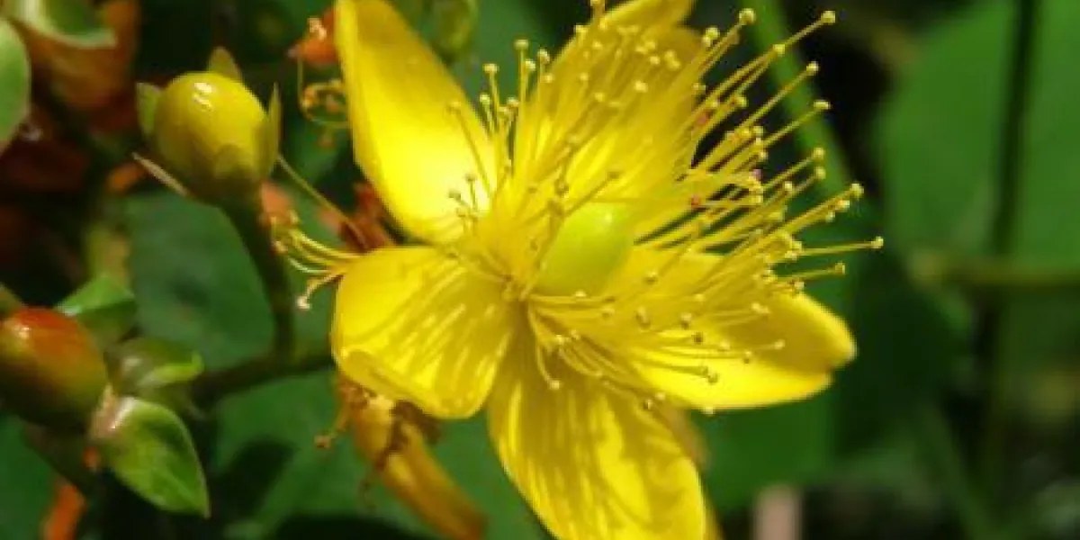 appareil photo numérique olympus