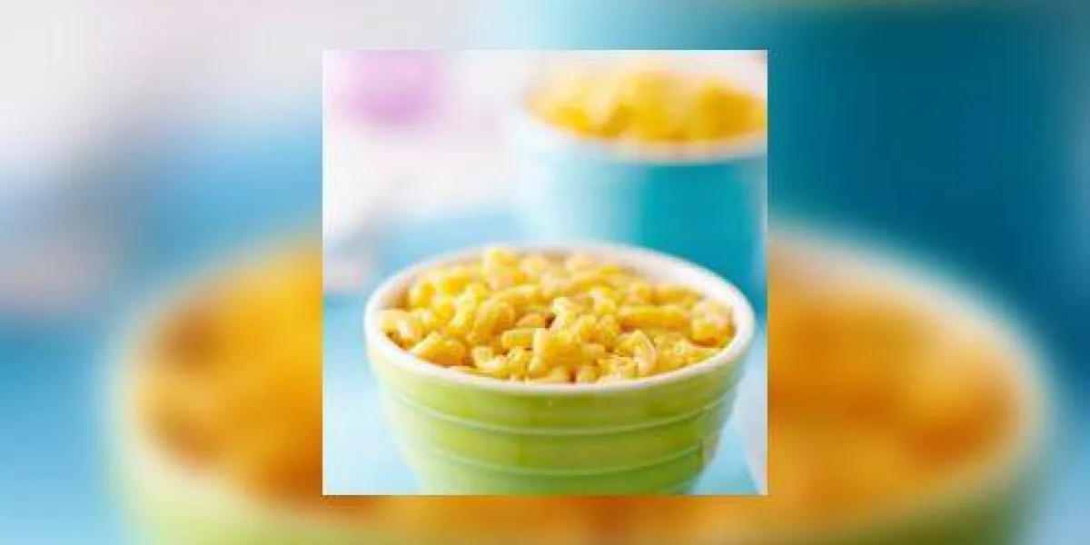 macaroni au fromage - nourriture pour enfants macaroni au fromage - nourriture pour enfants
