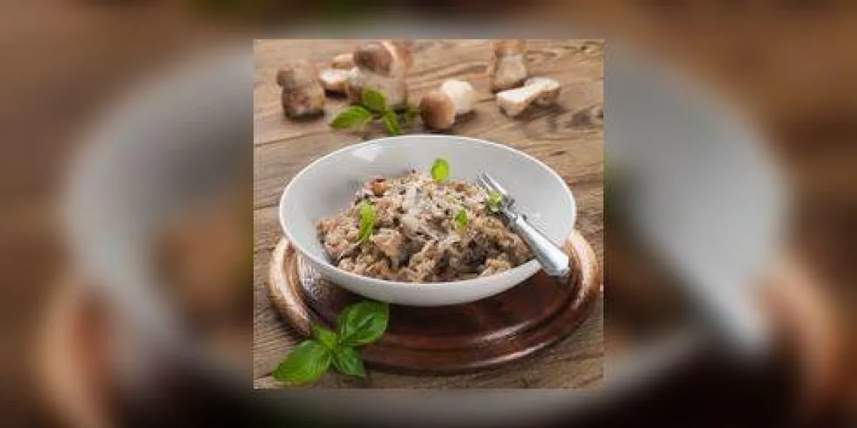 risotto aux champignons sauvages et au parmesan, mise au point sélective risotto aux champignons sauvages et au parmesan, mise au point sélective