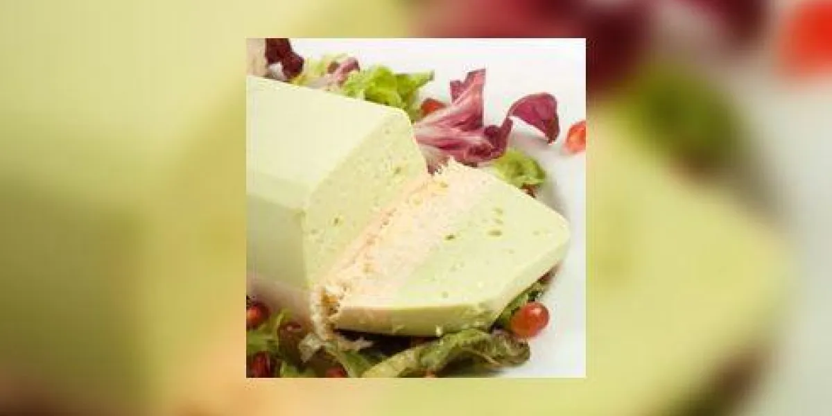 terrine de saumon et avocat sur plaque blanche avec salade terrine de saumon et avocat sur plaque blanche avec salade