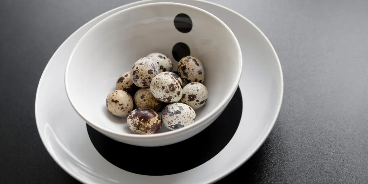oeufs de caille