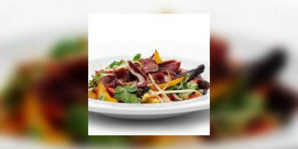 filet de magret de canard filet de magret de canard