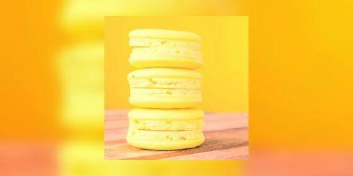 macaron macaron