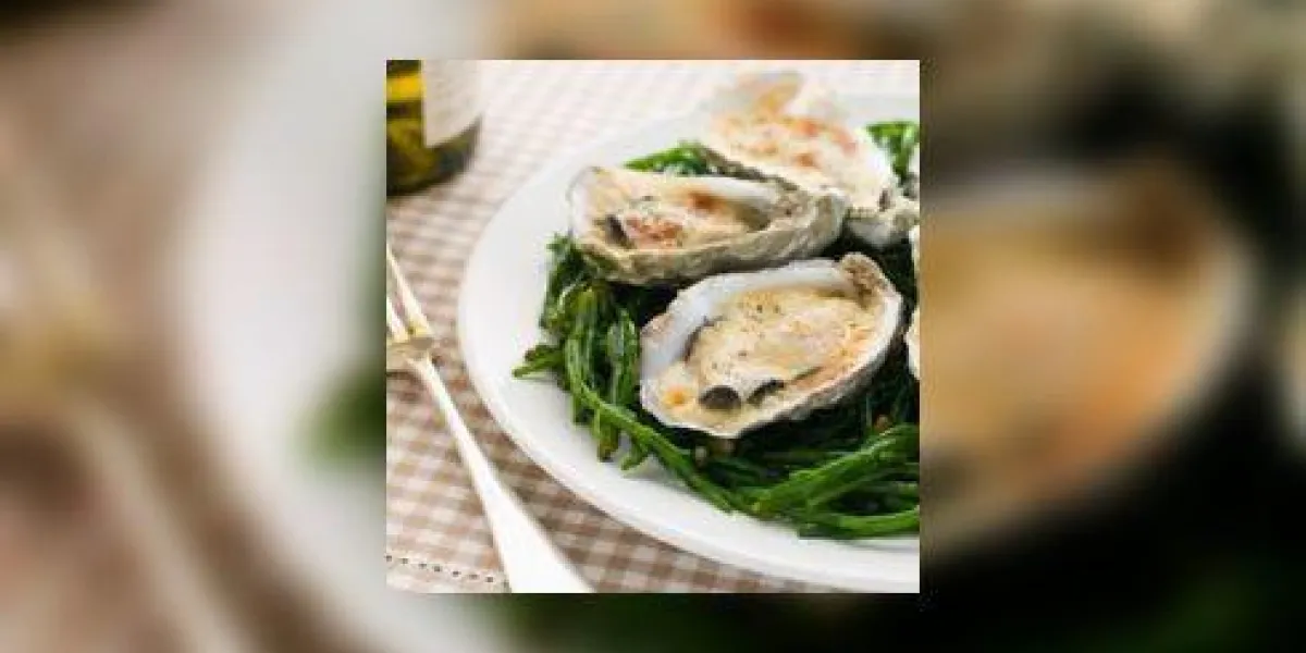 huîtres grillées avec sauce mornay sur salicorne