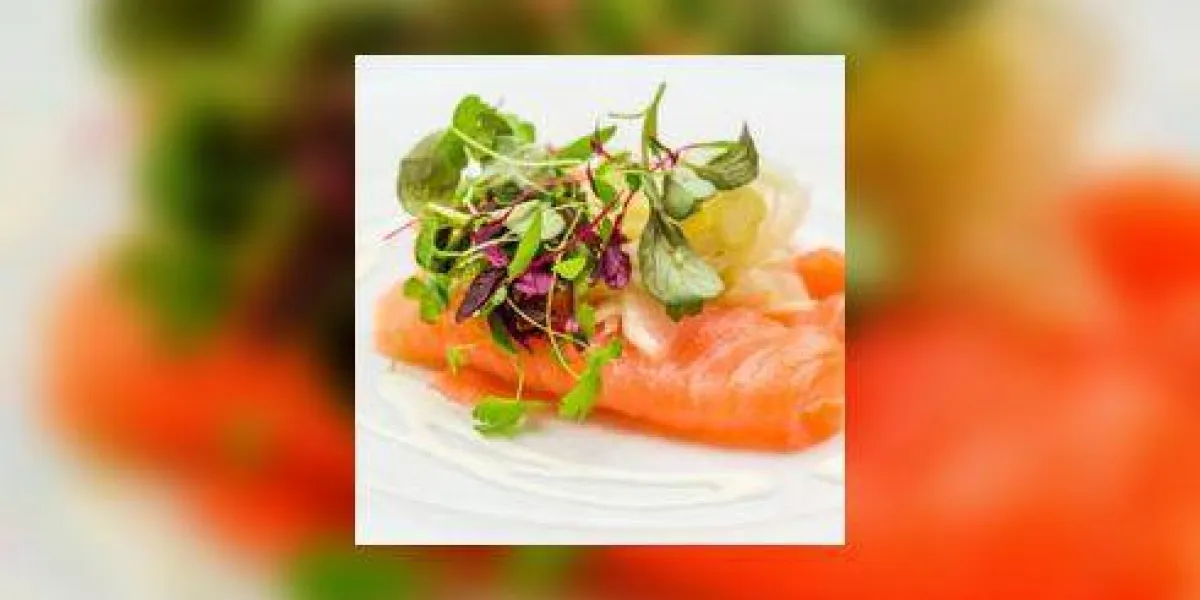 poisson saumon isolé sur fond blanc poisson saumon isolé sur fond blanc
