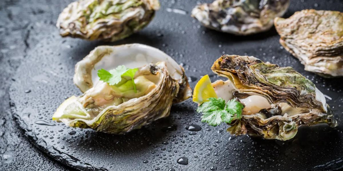 huître fraîchement pêchée en coquille sur rocher noir