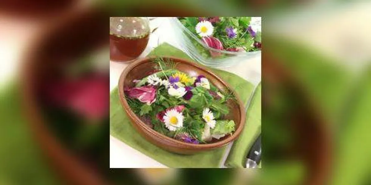 salade d'herbes sauvages
