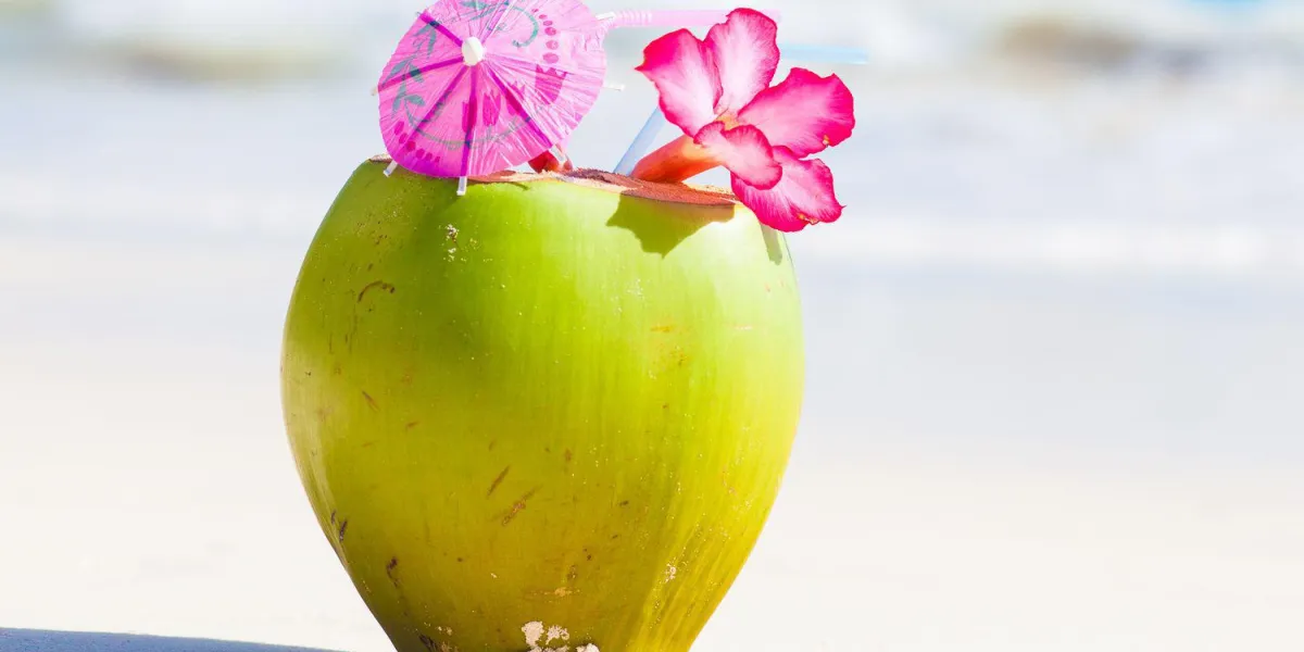 deux cocktails de noix de coco fraîche sur la plage tropicale des caraïbes deux cocktails de noix de coco fraîche sur la plage tropicale des caraïbes