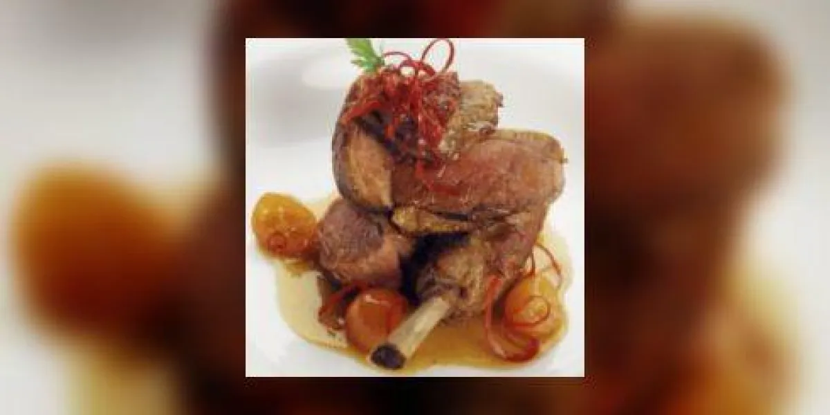 cuisse de canard aux tomates sur la plaque blanche